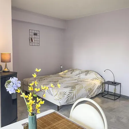 Azur Soleil Apartment *